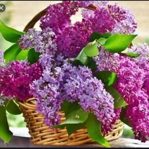 Meet your Posher, Vickie